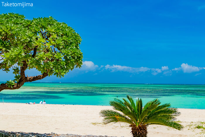 銀座の会員制高級クラブで働いているホステスさんにオススメのリゾート地・沖縄県の竹富島（たけとみじま）